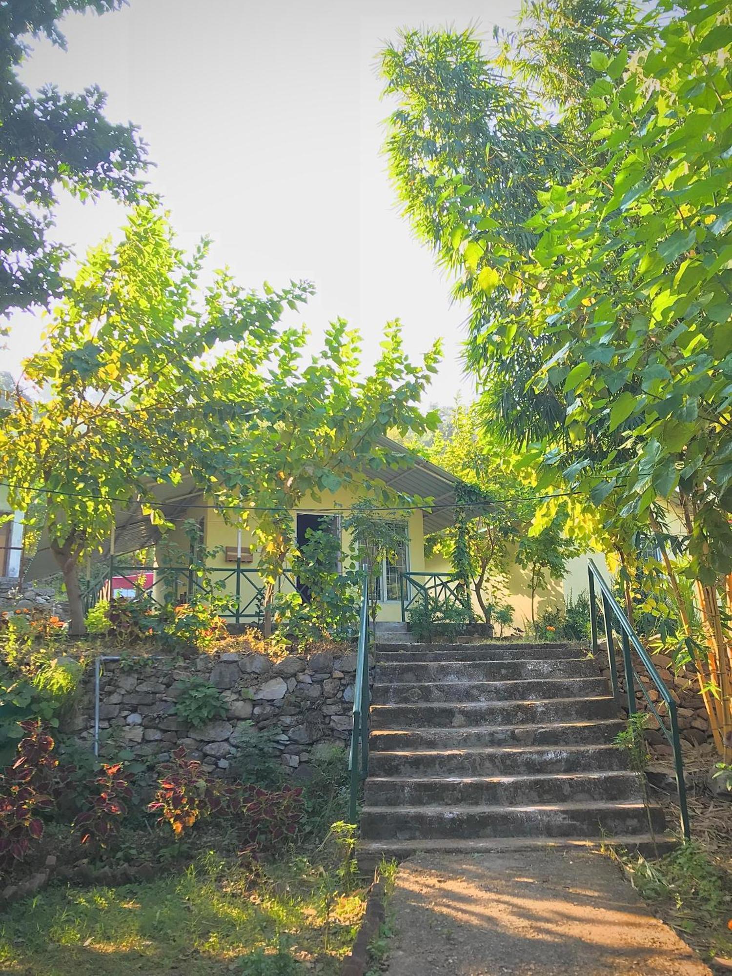 Shoolin Jungle Resort Risikés Kültér fotó