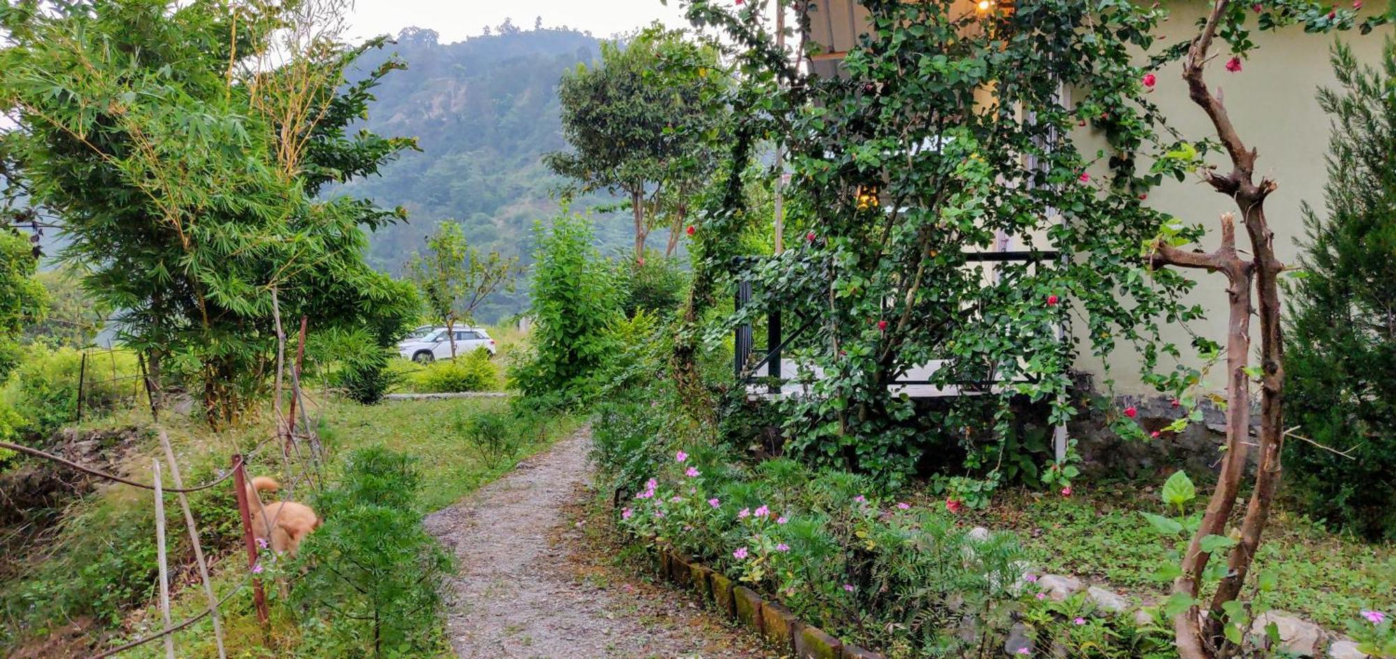 Shoolin Jungle Resort Risikés Kültér fotó